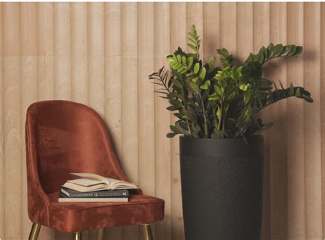 Palasa Studio - Planters & Pot Store Online in India - Home | Living