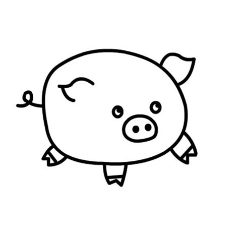 小猪简笔画法 怎样画简笔画小猪 - 育才简笔画