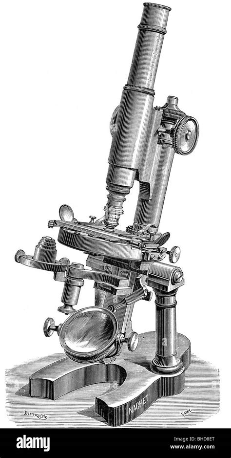 Old Compound Microscope 的图像结果