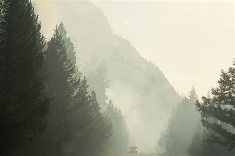 Yellowstone National Park – The Road That Never Ends