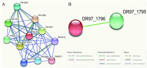 String Spring 的图像结果