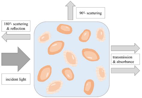 Sensors and Techniques for On-Line Determination of Cell Viability in ...