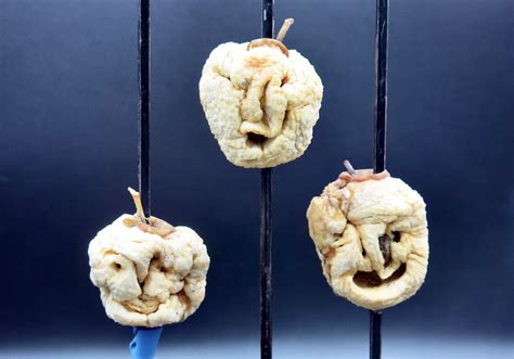 Shrunken Heads Made From Apples Shrunken Apple Heads, Recycle Pumpkins