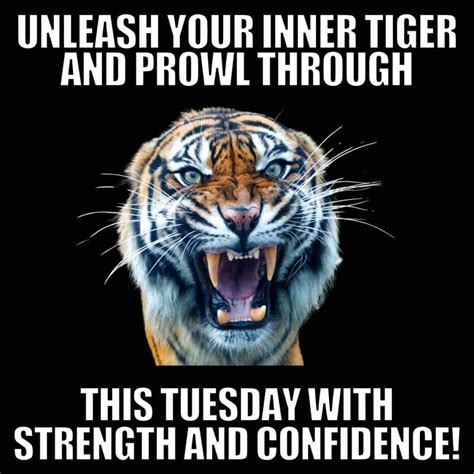 20+ Tuesday Work Memes To Get You Through The Grind