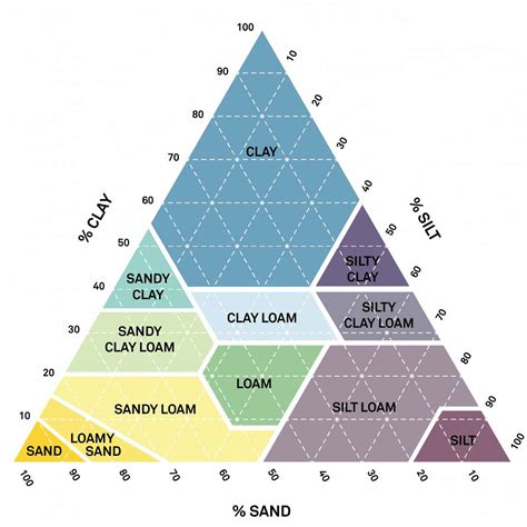 ¿Qué es la humedad del suelo? La ciencia detrás de la medición - METER Group