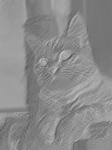 Machine Learning Feature Map 的图像结果