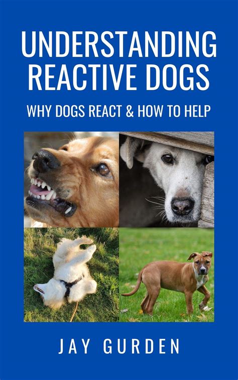 Image result for Reactive Behavior