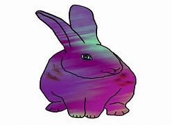 Image result for Cute Black Bunny Rabbit