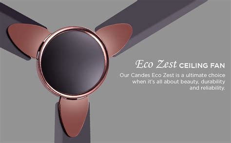 Buy Candes Eco Zest Bldc Ceiling Fan 1200Mm /48 Inch|Bee 5 stars Rated ...