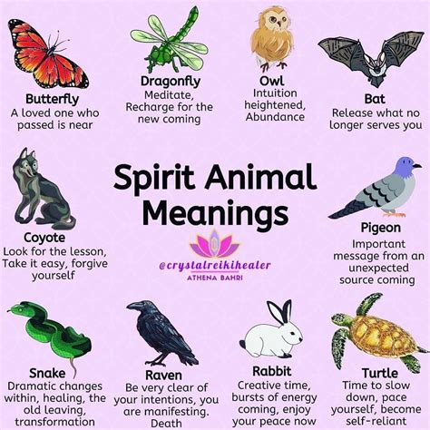 PSYCHIC ANIMALS MEANING | Spirit animal meaning, Animal meanings ...