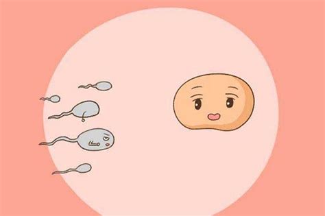卵巢早衰做三代试管还会不会出现胎停，一般是做几次才能成功 - 知乎