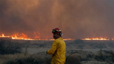 In California Fires, Trump Blames Newsom for Withholding Water. Experts ...