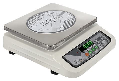 Buy iScale i-06 Weighting Capacity 30kg x 1g Accuracy, Electronic ...