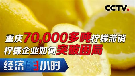 《经济半小时》重庆70,000多吨柠檬滞销 柠檬企业如何突破困局 20200817 | CCTV财经