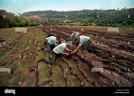 Image result for unplowing