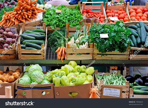 Organic Farmers Market 的图像结果