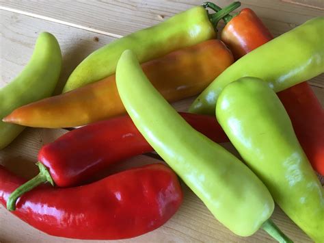 Hungarian Hot Wax Hot Pepper | White Harvest Seed Company
