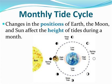 Moon Phases. - ppt download