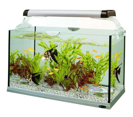 Ferplast Аквариум CAYMAN 80 OPEN - 120 L - Прямоугольные аквариумы ...