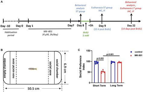 Frontiers | Social withdrawal and anxiety-like behavior have an impact on zebrafish adult ...