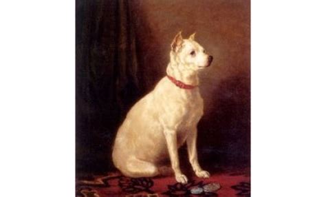 15 Extinct Dog Breeds - Vanishing Canines Mystery Unfolding