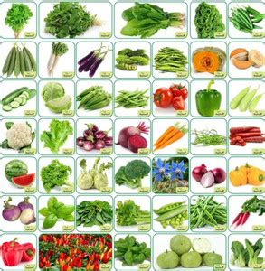 Plantzone seeds 45 varieties (hybrid&organic) vegetable seeds Seed ...