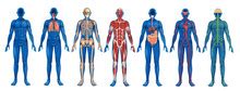 Image result for O2C Process Mining