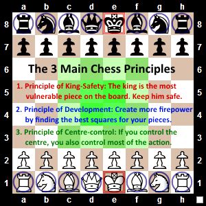Image result for Chess Opening Principles