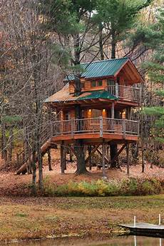 Tree Houses Or Houses In Trees by Treehouse At Moose Meadow Tree Houses Or Houses In Trees