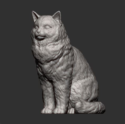Ragdoll Cat 3D Print Model by Alexander3dart