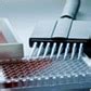 Life Technologies India: - FBS, Tissue Culture Media, Molecular Biology ...