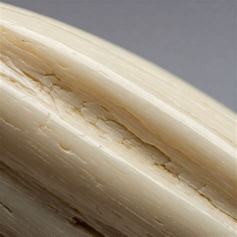 The Spiritual Meaning of Avalon: A Journey Into Myth and Mystery ...