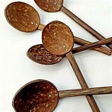 Image result for Decorative Items Using Coconut Shell