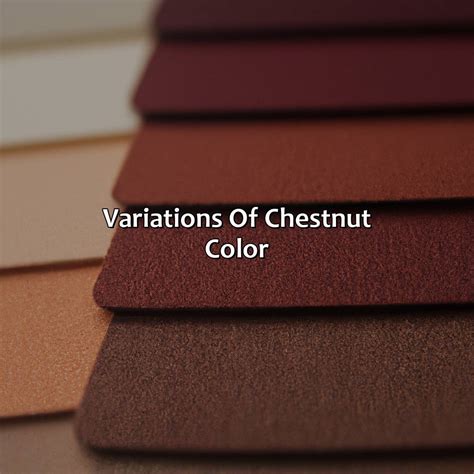 What Color Is Chestnut - colorscombo.com