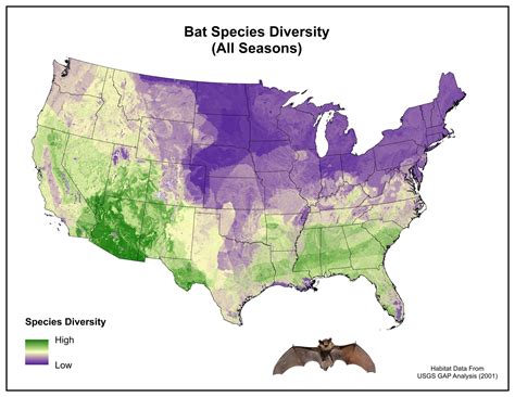 Bats In Map Of United States