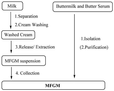 Preparation of Human Milk Fat Substitutes: A Review