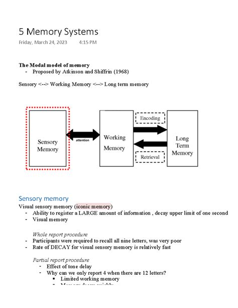 5 Memory Systems - The Modal model of memory Proposed by Atkinson and ...