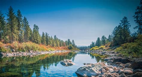 Contact — New Horizon Care Centers, Inc