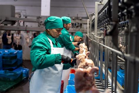 Inside the Meat Processing 的图像结果
