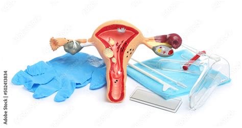 Image result for Reproduction Examination