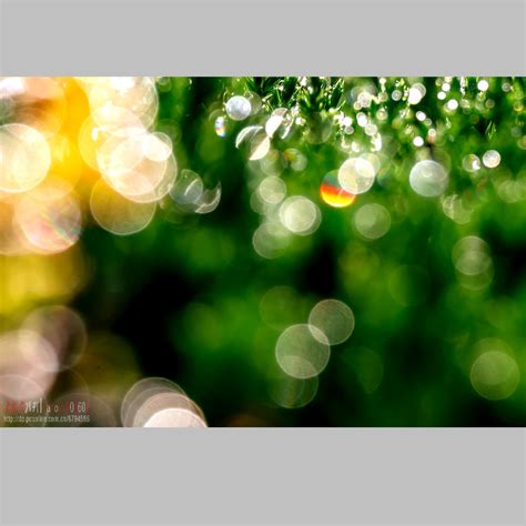 【雨后的阳光摄影图片】生态摄影_老树皮的摄影博客_太平洋电脑网摄影部落