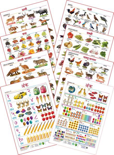Spectrum Educational Mini Wall Chart (Set of 8) : ( Animals , Birds ...