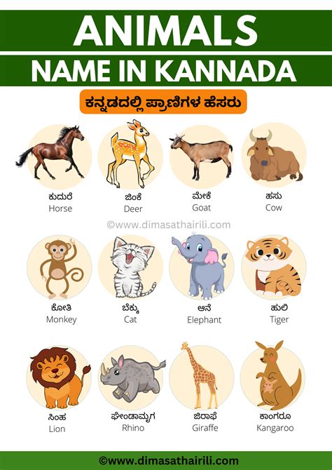 Wildlife In Kannada
