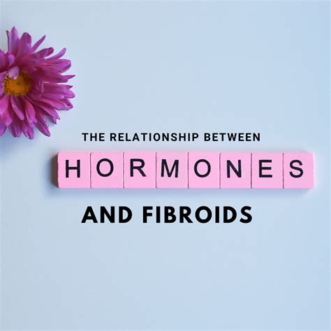 The Relationship Between Hormones and Fibroids | New York City | 1 ...