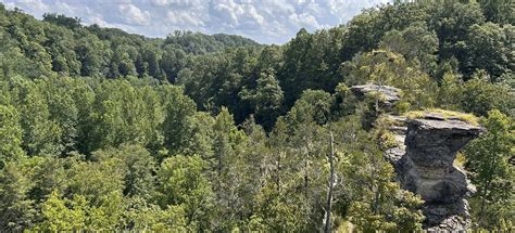 Window Cliffs Trail, Tennessee - 1,944 Reviews, Map | AllTrails