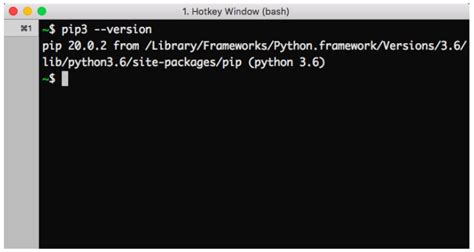 Image result for Check PIP Version in Vscode