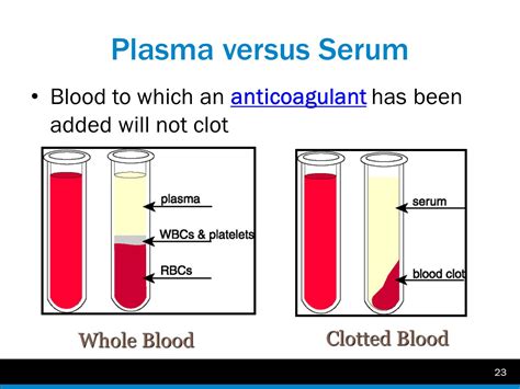 Serum Vs Blood Plasma