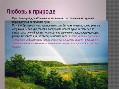 Красота природы - сочинение (рассуждение)