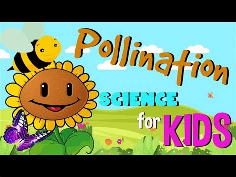 Pollination and seed spreading Video Lecture - Year 3 Science