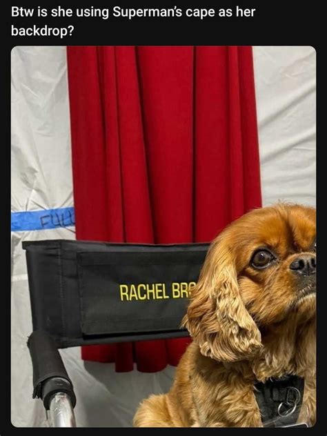 Superman: Did Adorable Pup Lead to Early Look at Man of Steel's Cape?